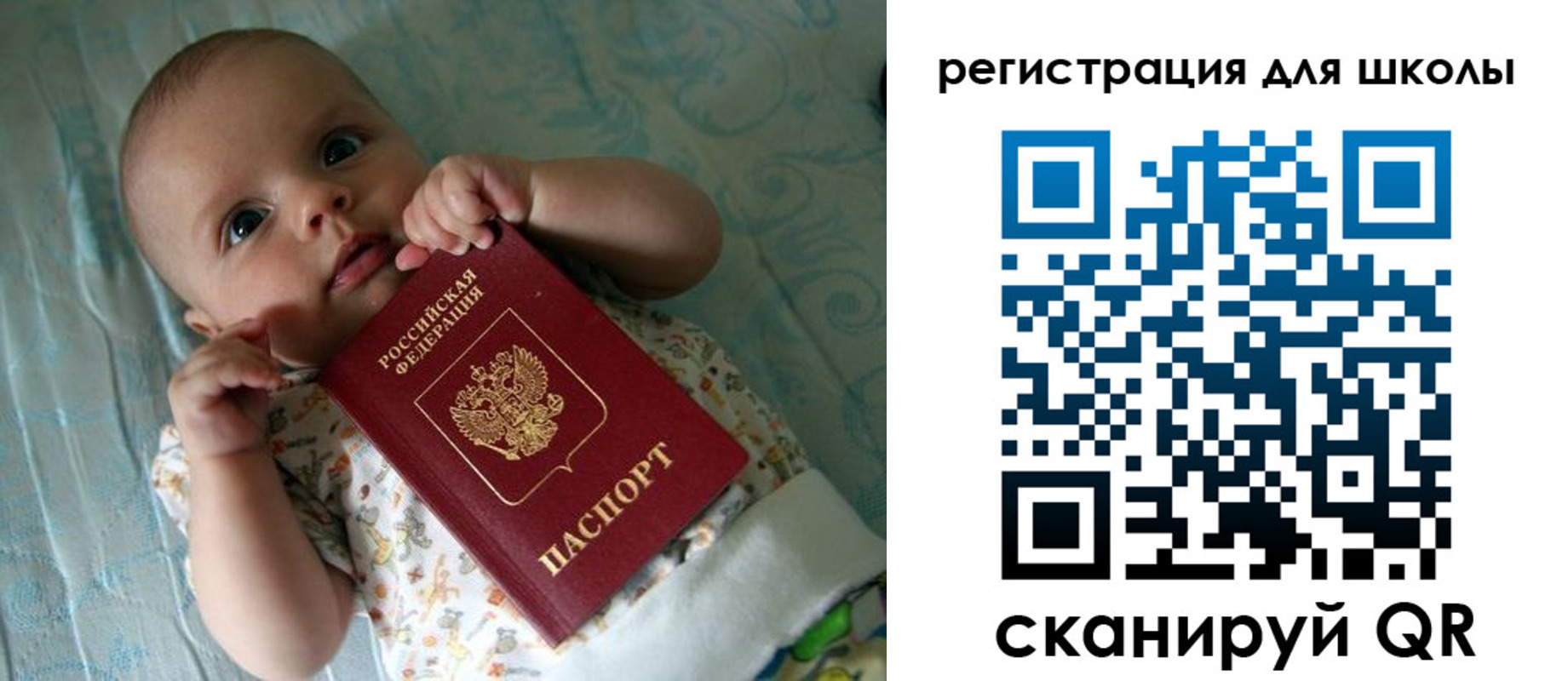 прописка поиск в Саранске